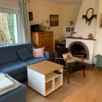Wohnzimmer Kamin